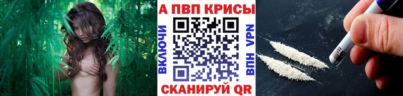 Купить закладки  Невинномысск  А ПВП Соль 