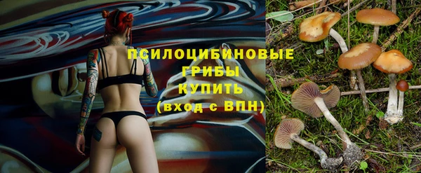 гидра Бронницы