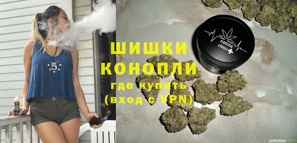 PSILOCYBIN Богданович