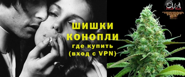 PSILOCYBIN Богданович