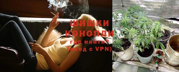 молекула духа Богородск