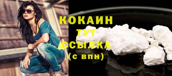 PSILOCYBIN Богданович