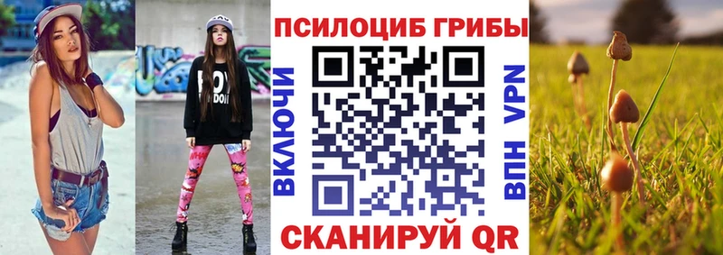 Купить закладки  Невинномысск  Псилоцибиновые грибы мицелий 
